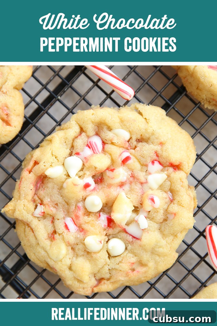 Pinterest picture with the text of the title of the recipe at the top.