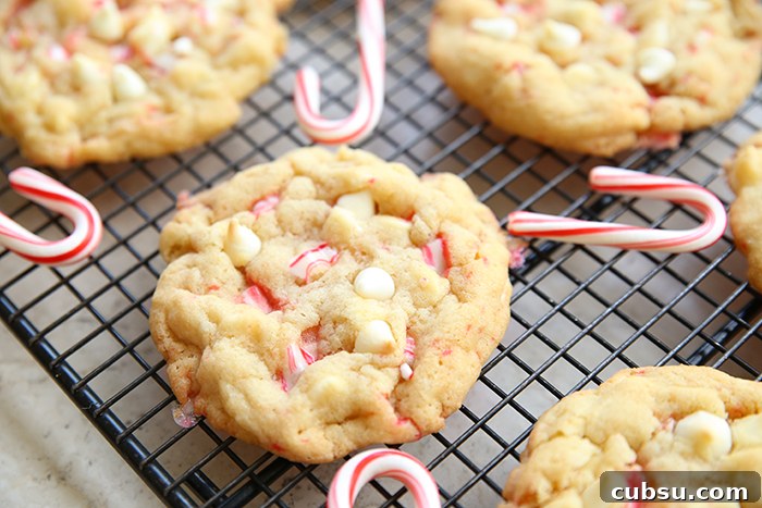 A cooling rack with small candy canes and peppermint cookies with white chocolate chips.