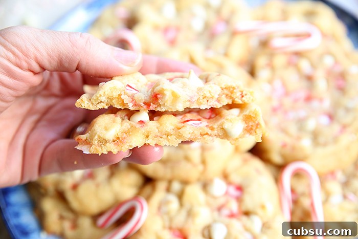 A white chocolate chip peppermint cookie broken in half held above a plate full of white chocolate chip peppermint cookies.