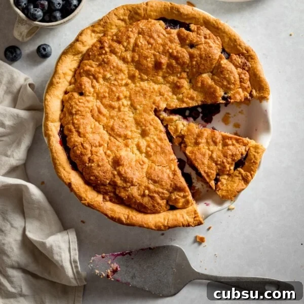 Overhead picture of a blueberry crumble pie with a piece taken out.