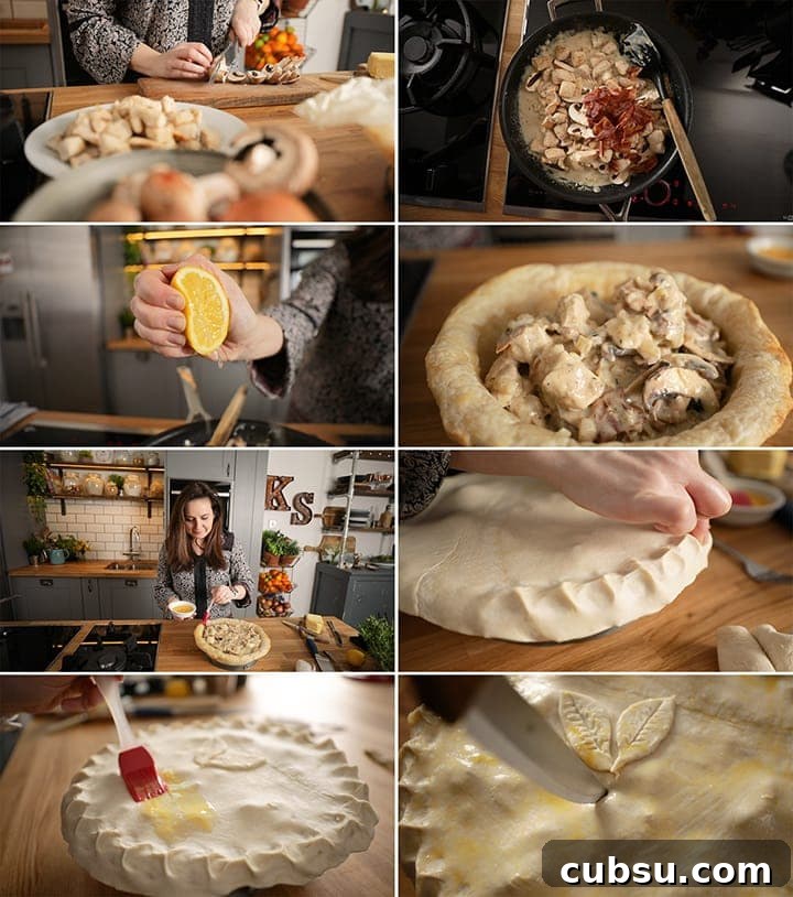 8 image collage of final stages of making chicken and mushroom pie - from cooking the filling to egg washing the pastry lid