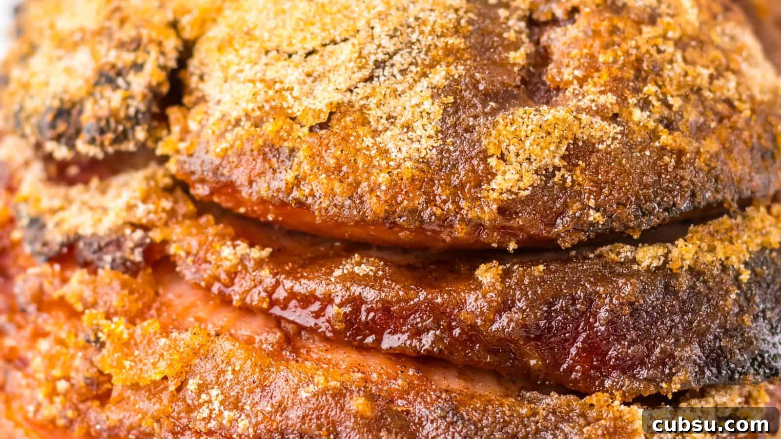 7 Holiday Ham Recipes to Make Dinner Feel Just Right 7 Close-up of seasoned and roasted meat with crispy edges.