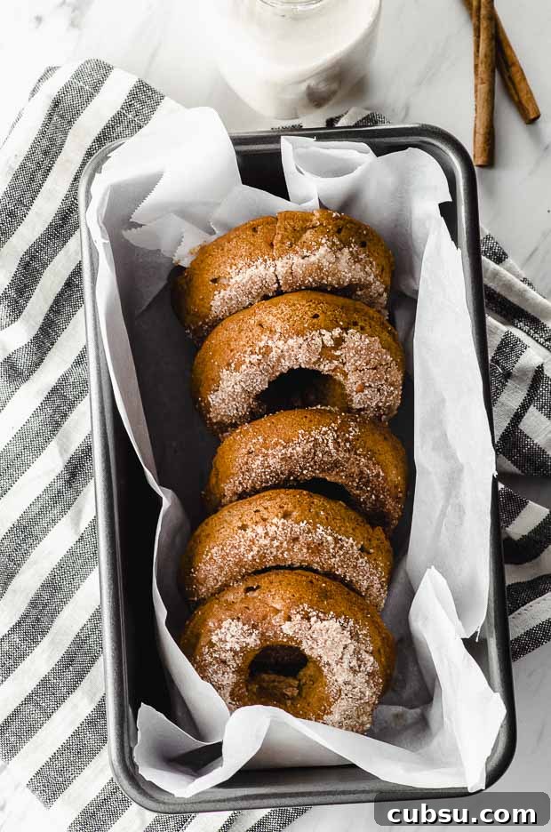 5 apple cinnamon donuts lined in a metal pan
