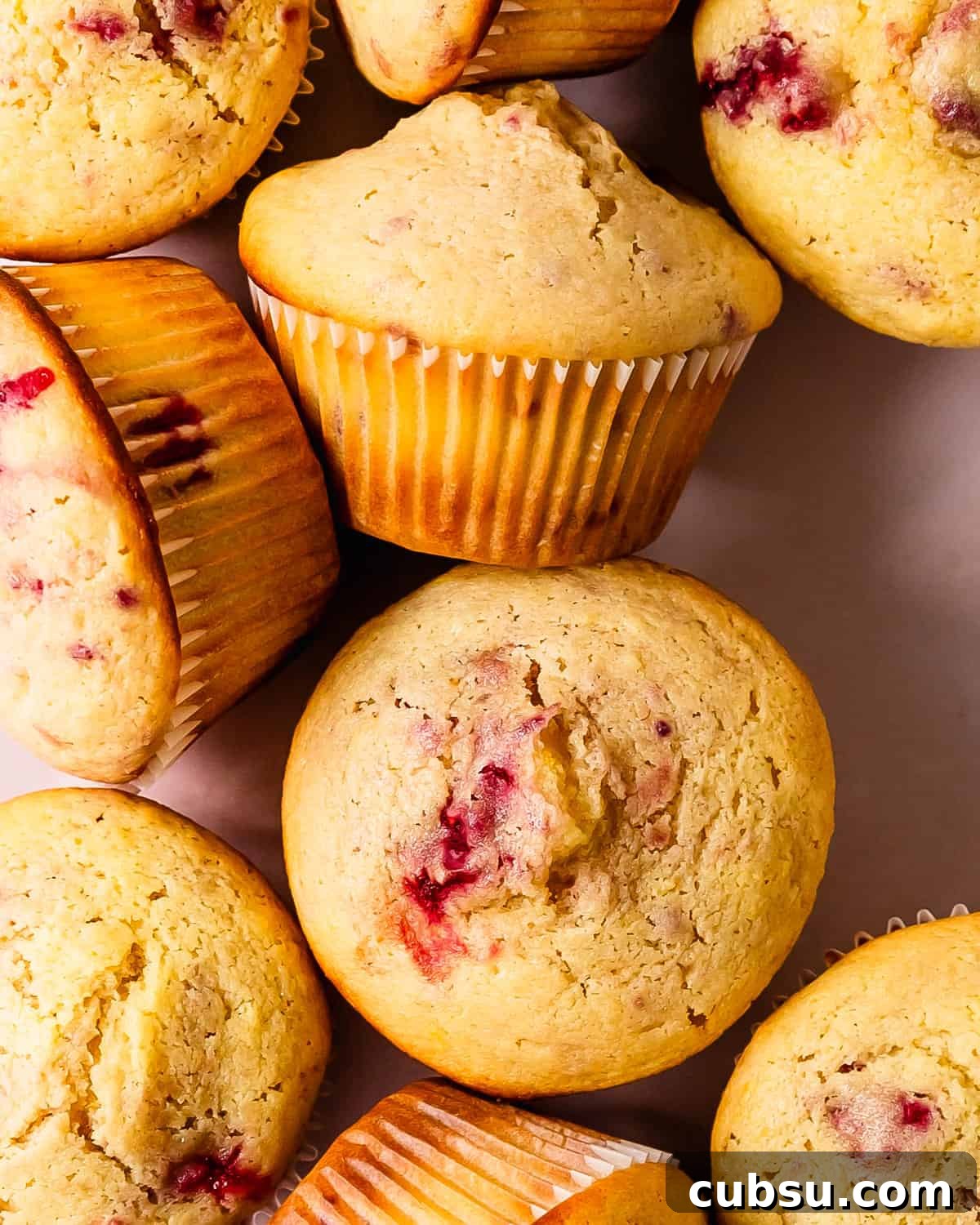 Moist Raspberry Muffins with Lemon Zest Recipe 2 These raspberry muffins are light, fluffy and incredibly moist bakery style muffins filled with fresh or frozen raspberries and a hint of lemon.