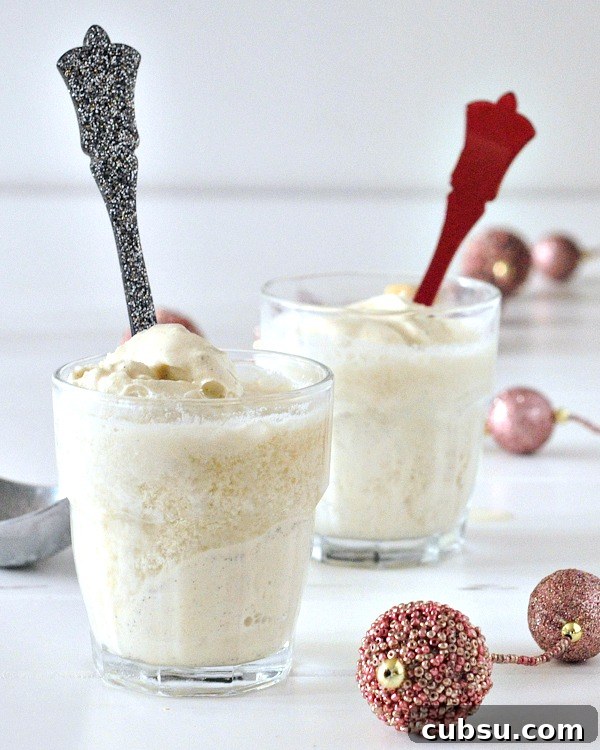 Ginger Switchel Float with Cinnamon Ice Cream Recipe 3 Ginger Switchel Floats with Cinnamon Ice Cream