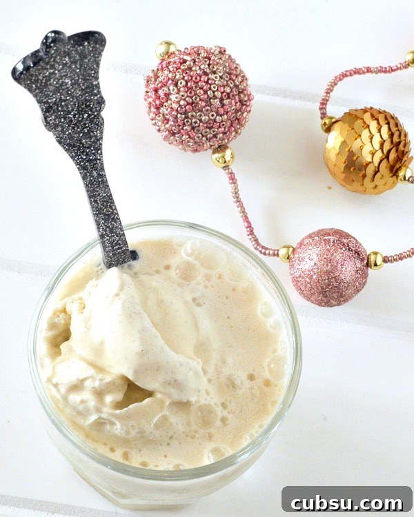 Ginger Switchel Float with Cinnamon Ice Cream Recipe 5 Ginger Switchel Floats with Cinnamon Ice Cream