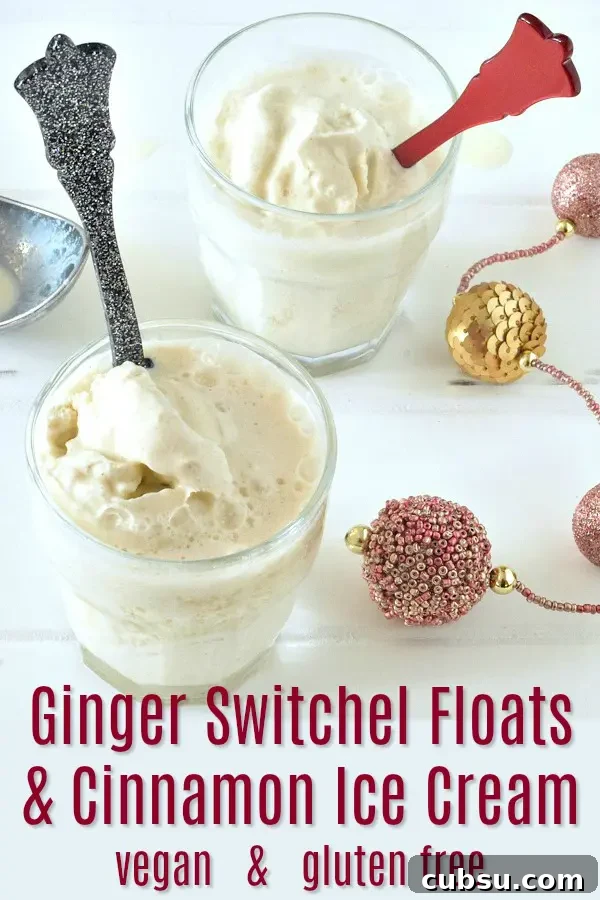 Ginger Switchel Float with Cinnamon Ice Cream Recipe 6 Ginger Switchel Floats with Cinnamon Ice Cream