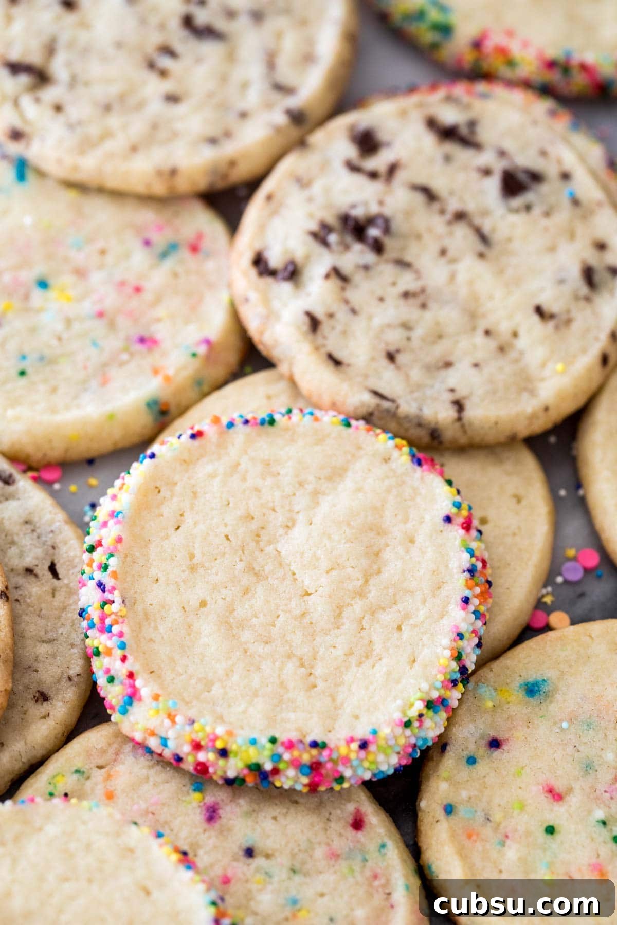 Cookies rolled in sprinkles and mixed with chocolate