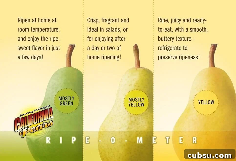 Pastrami and Pear Grilled Cheese Sandwich Recipe 13 ripening stages of pears