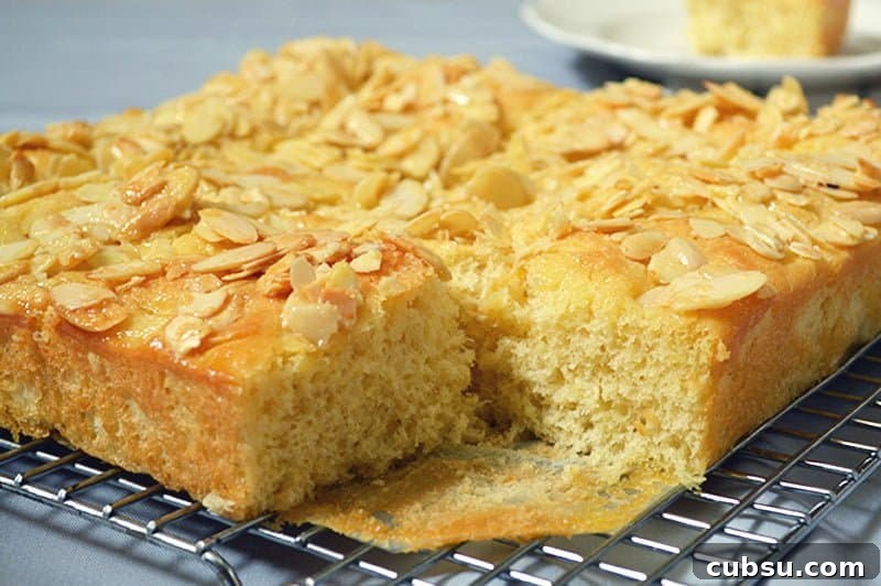 Homemade Honey Almond Bread Recipe for Tender, Crunchy Loaves 8 almond bread 3