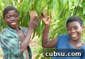 9 Things I Miss Most About Living in Cameroon 6 img 225 6
