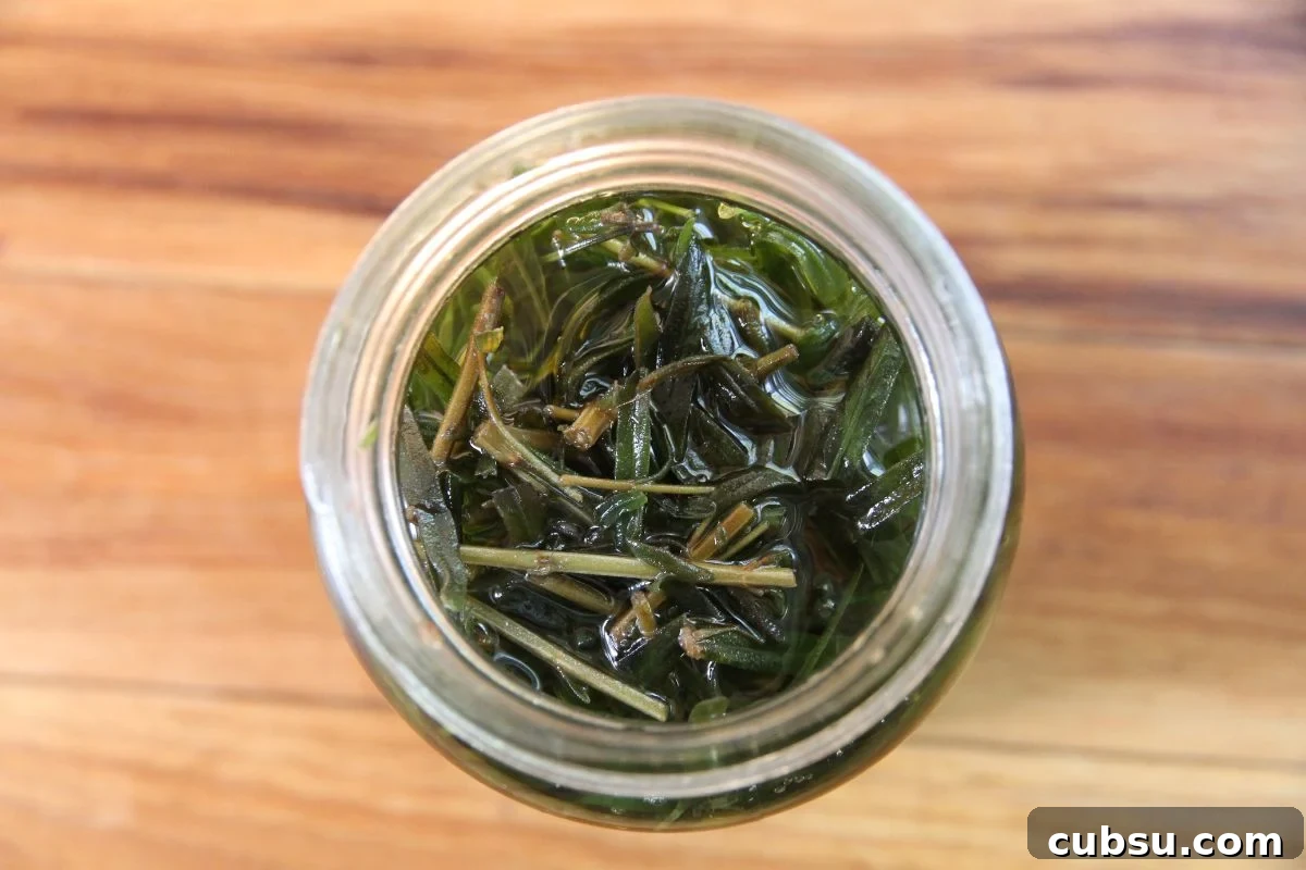 A glass jar filled with fresh lavender and topped with carrier oil.