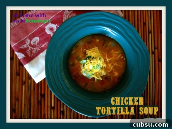 Chicken Tortilla Soup 