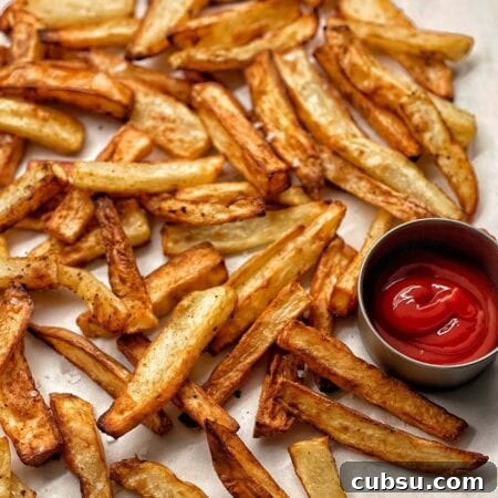air fried french fries