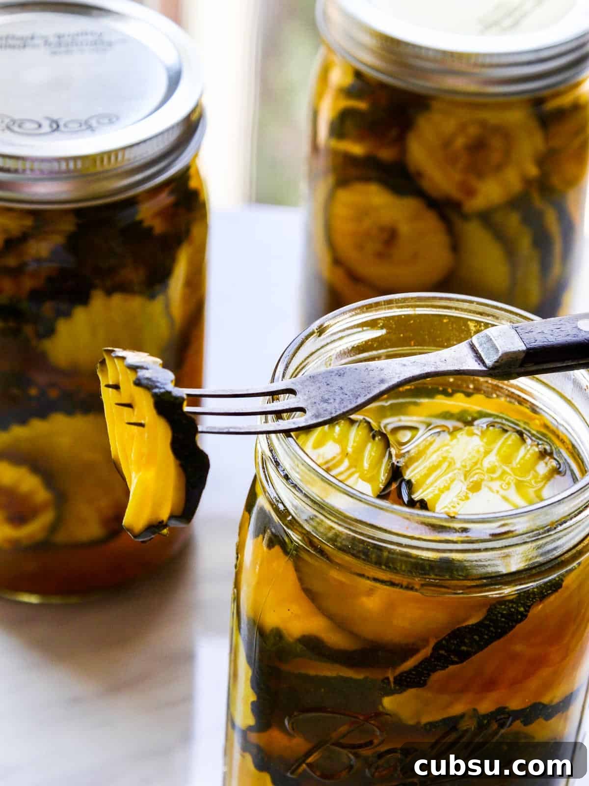 Quick Refrigerator Zucchini Pickles — No Canning Required 3 img 23256 2