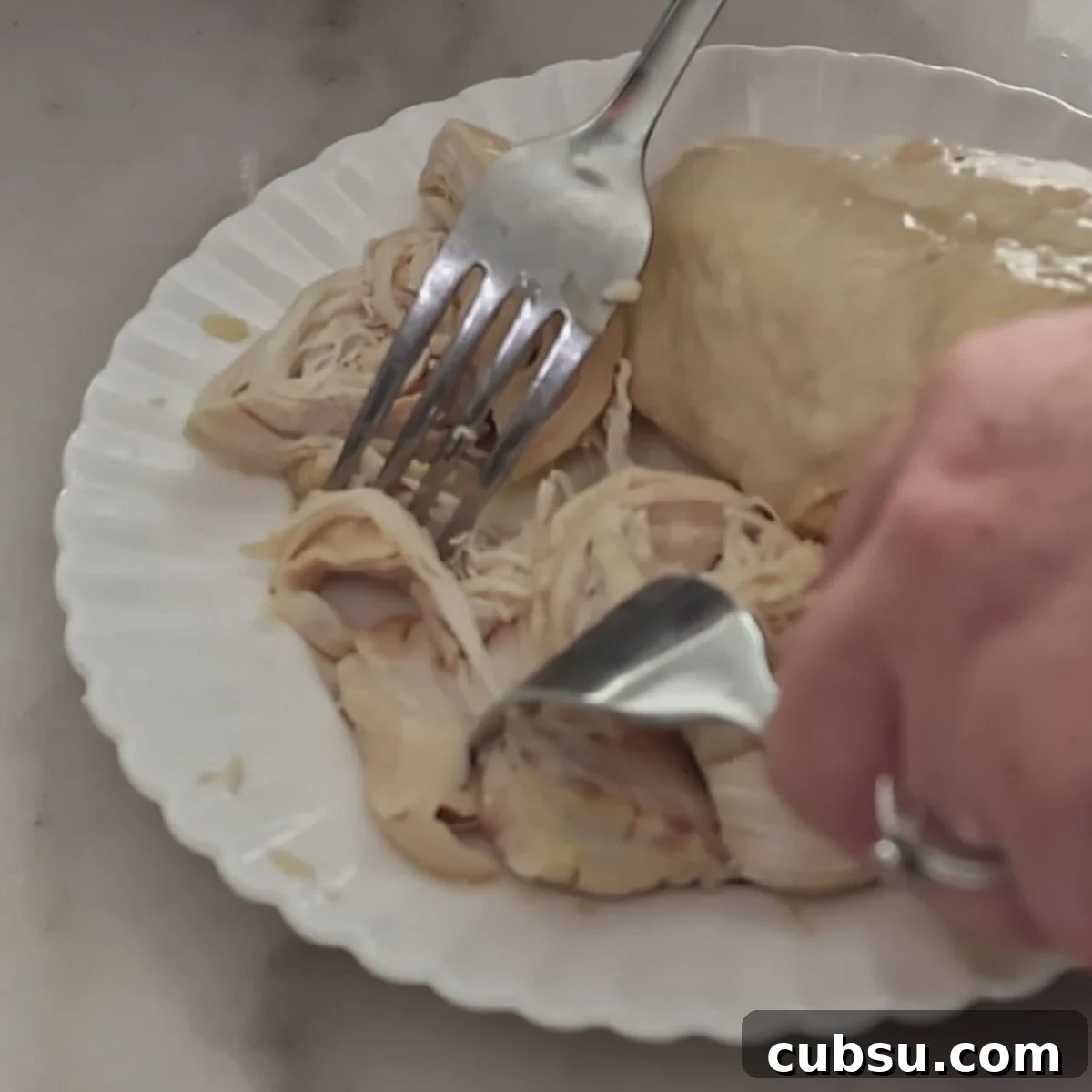 shredding chicken on white plate with two forks.