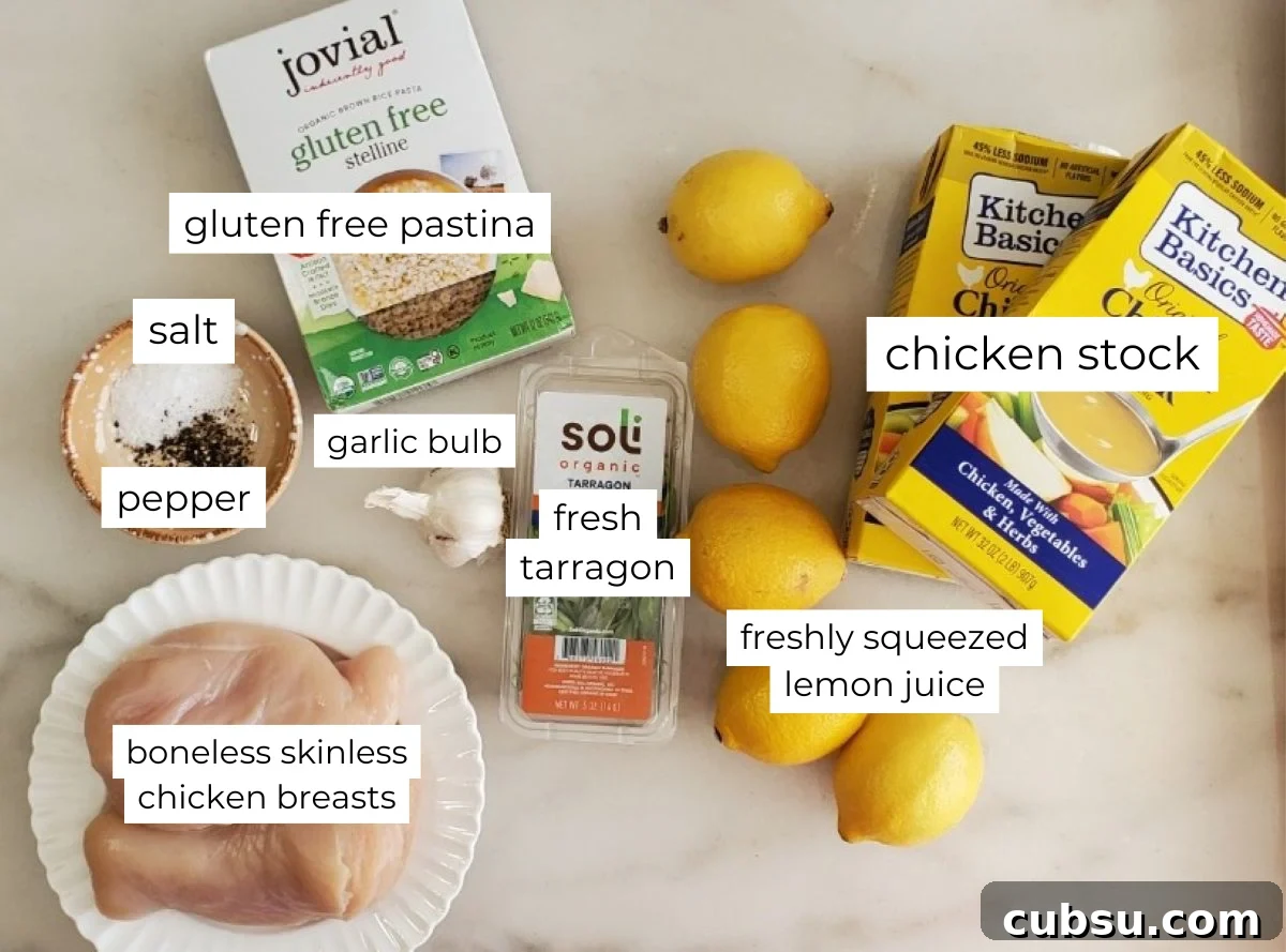 chicken pastina soup ingredients measured out and labeled.