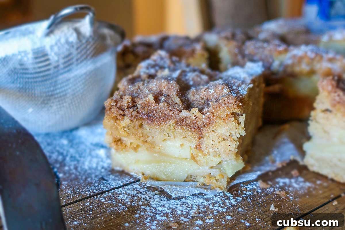 close up of vegan apple cake