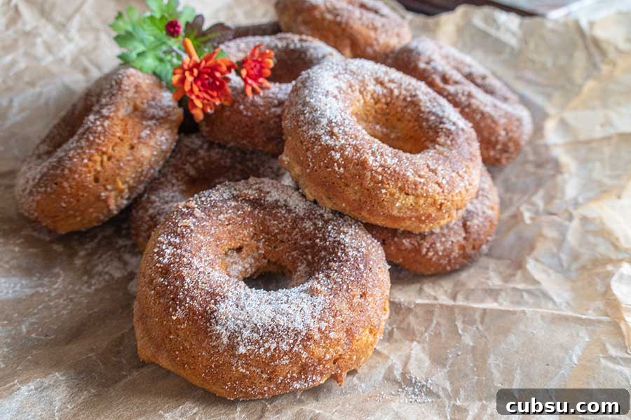close up of 4 apple cider donuts, gluten free