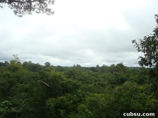 Amazonas10 Amazonas10