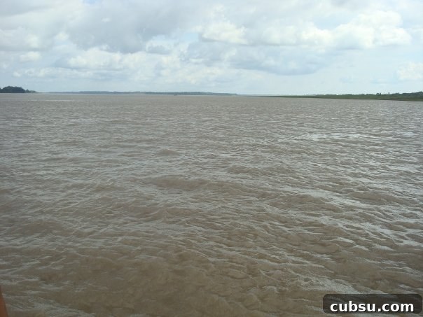 Amazonas11 Amazonas11