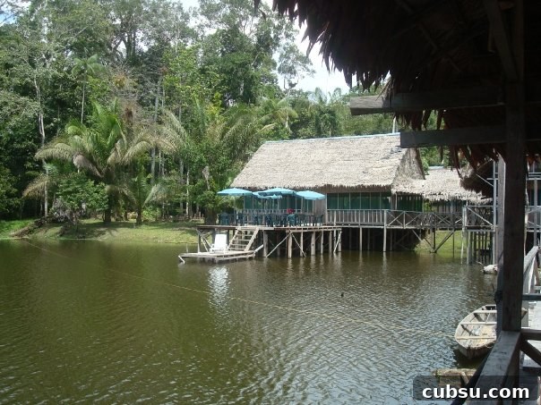 Amazonas12 Amazonas12