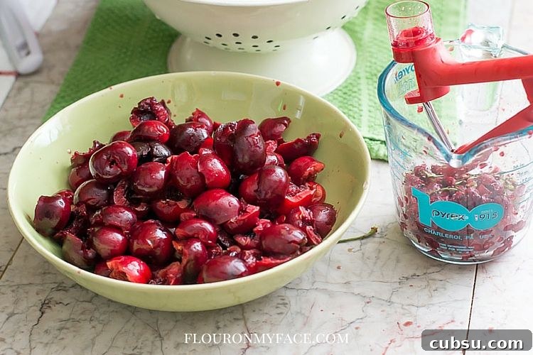 Top Cherry Pitters for Quick Fresh Cherry Pitting 3 OXO Cherry Pitter in action via flouronmyface.com