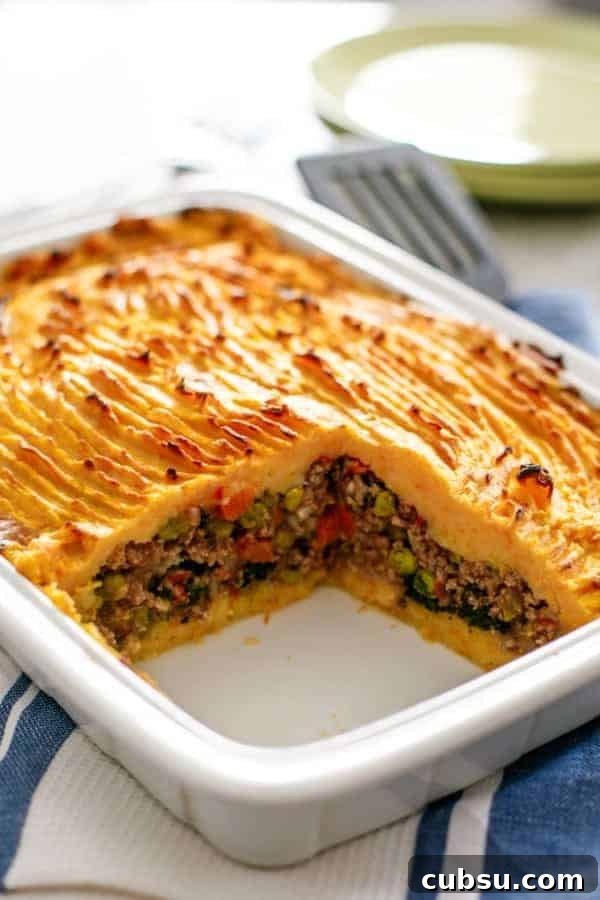 A piece missing from whole Shepards Pie 