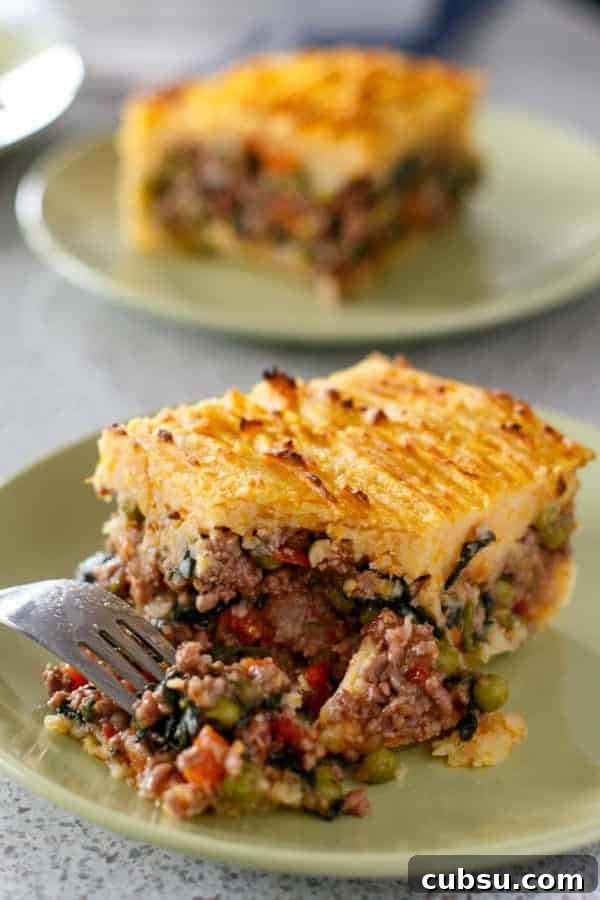 Fork piercing on a piece taken from Beef and Pumpkin Shepards Pie 