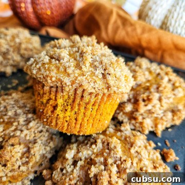 Pumpkin Crumb Muffins