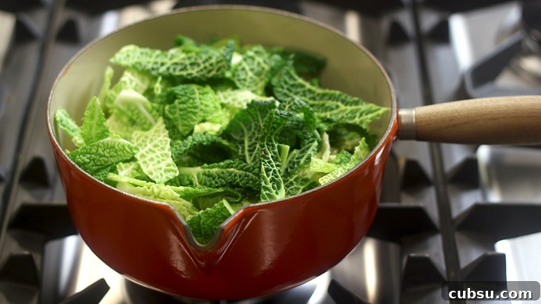 Wilting The Cabbage