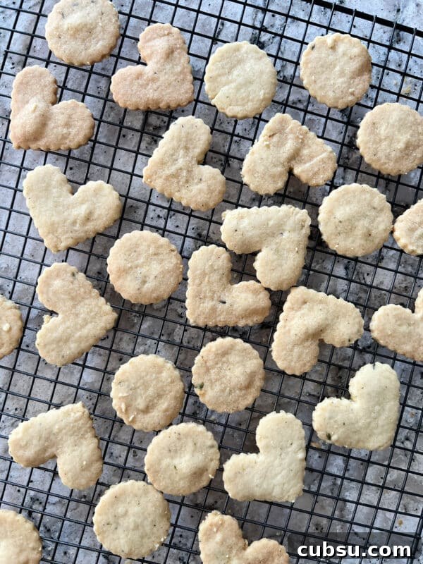 Shortbread closeup