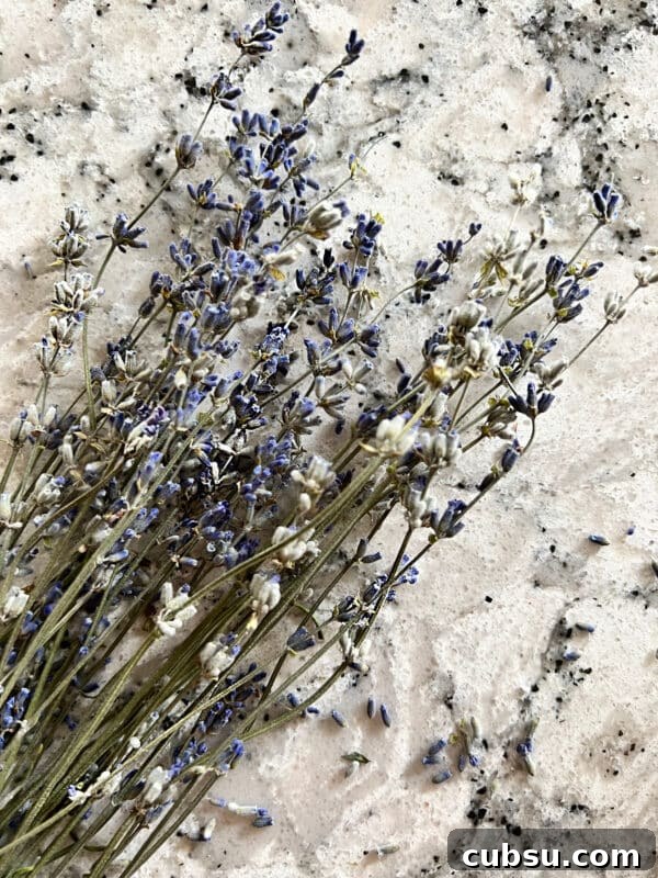 Lavender sprigs
