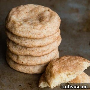 snickerdoodle