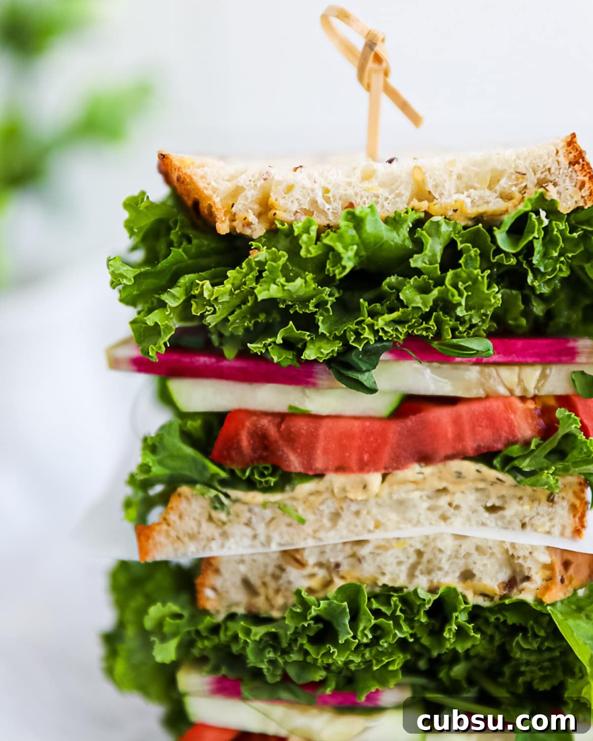 A close up picture of a sandwich that has been cut in half.