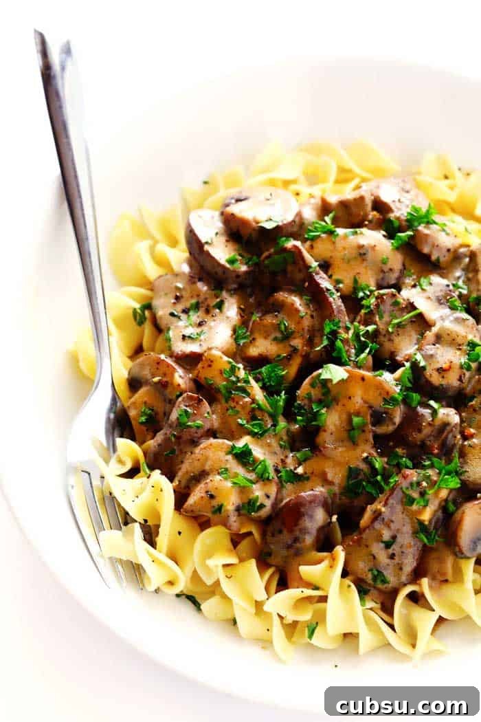Beef Stroganoff