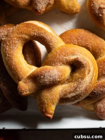 Sourdough Discard Cinnamon Sugar Pretzels in a pile.