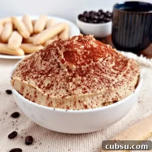 Creamy Tiramisu Dip Recipe for Coffee Lovers 10 tiramisu dip recipe.