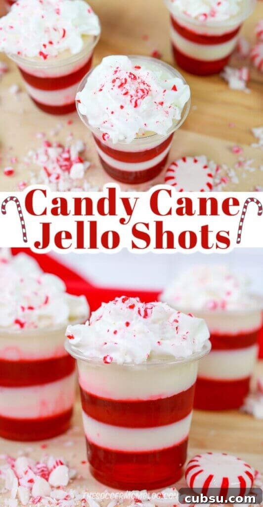 Festive Tipsy Santa Shooters Recipe for Holiday Parties 9 Candy Cane Jello Shots