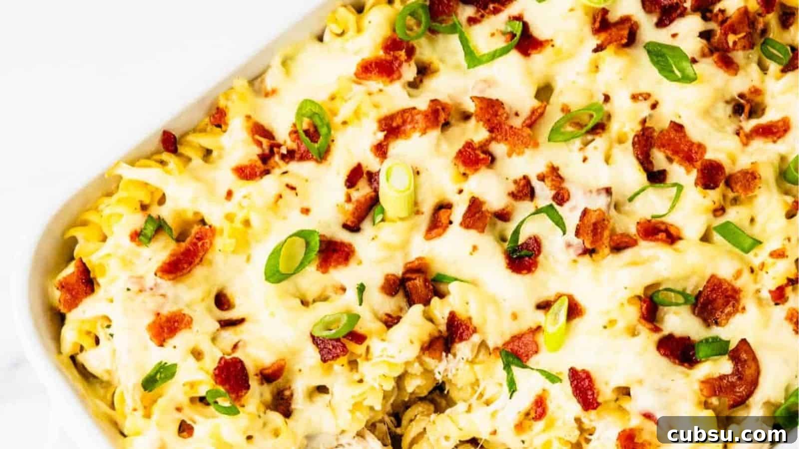 25 Comforting Casserole Recipes Everyone Will Crave 20 Chicken Bacon Ranch Pasta Casserole
