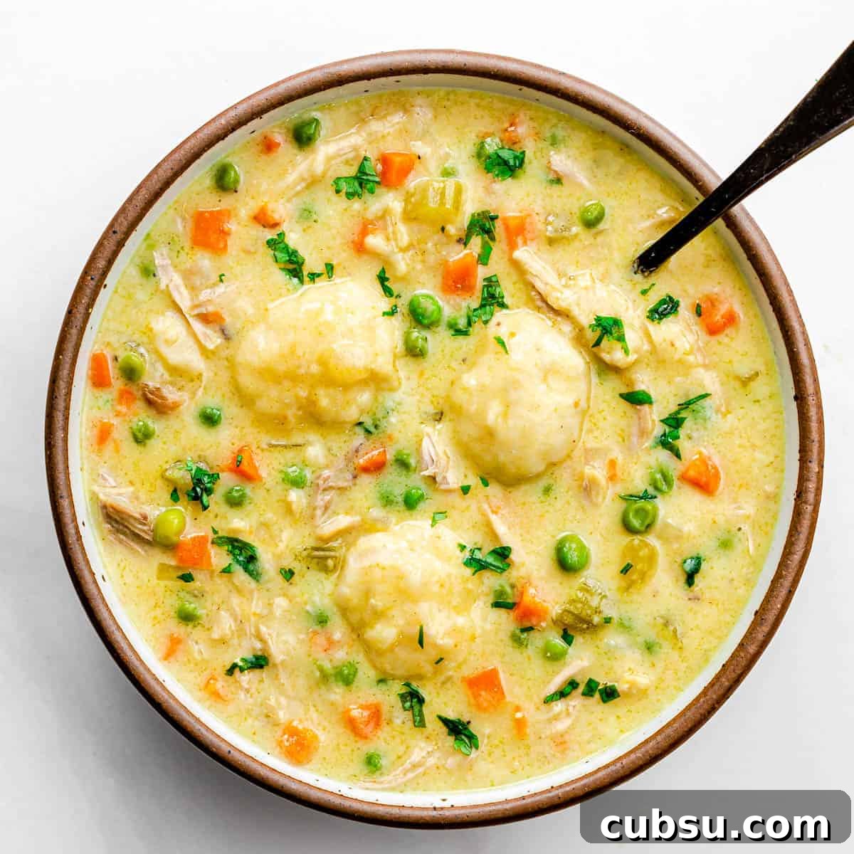 chicken-and-dumplings-soup.