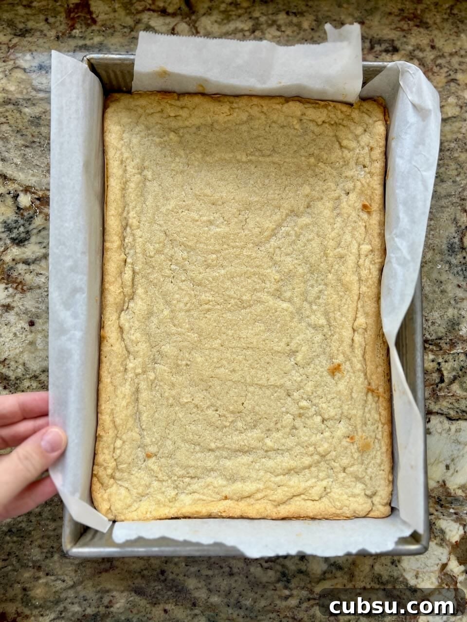 Sourdough Sugar Cookie Bars Recipe — Buttery Soft Cookie Bars 7 Baked sourdough sugar cookie bars in a parchment-lined baking pan.
