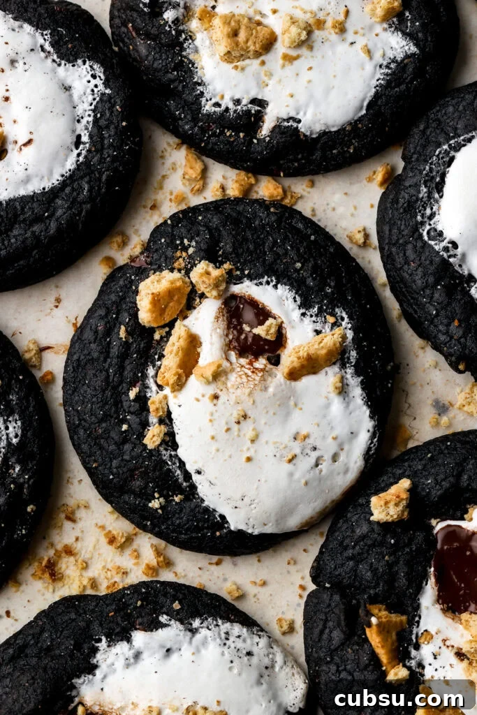 Chocolate S'mores Cookies Recipe — Gooey Campfire Treats 13 baked chocolate s'mores cookies
