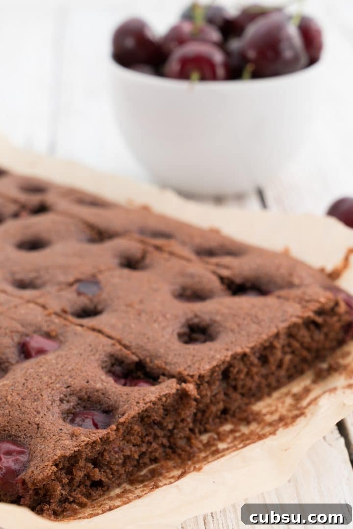 Moist Chocolate Cherry Sheet Cake Recipe 2 chocolate-cake-with-cherries-from-the-baking-sheet