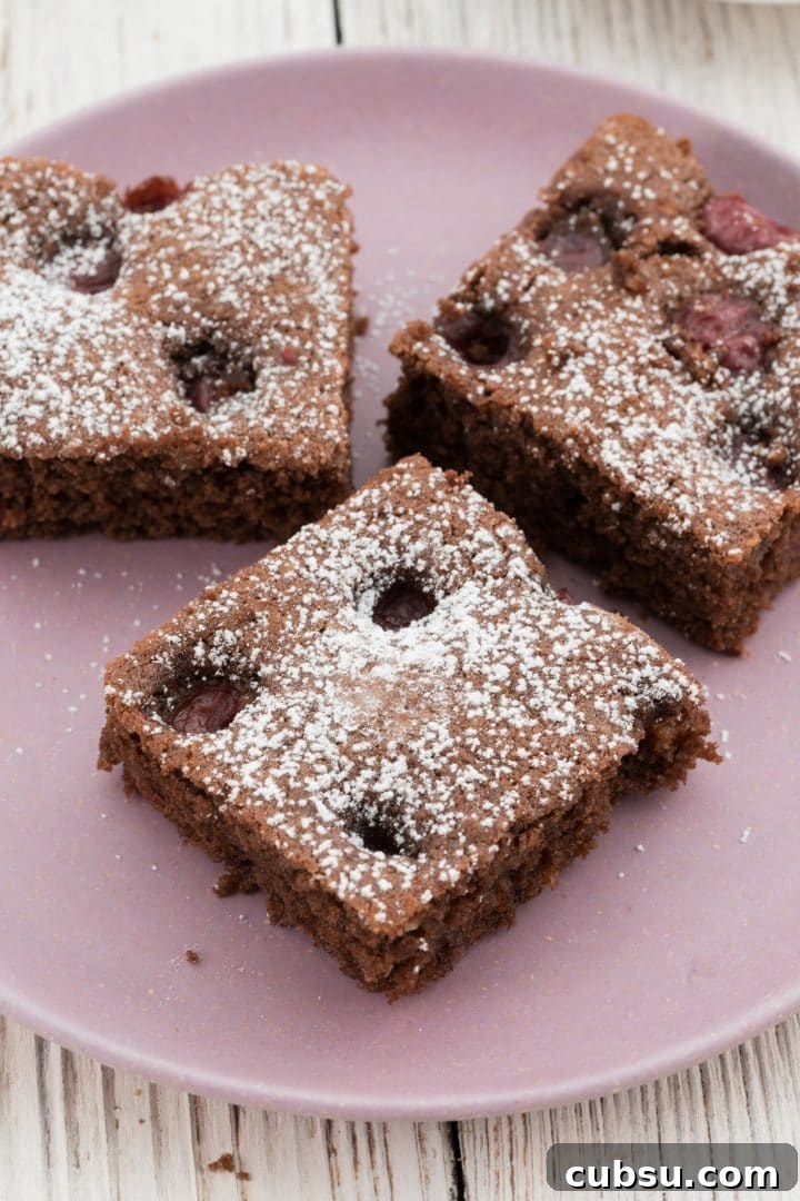Moist Chocolate Cherry Sheet Cake Recipe 3 chocolate-cake-with-cherries-recipe