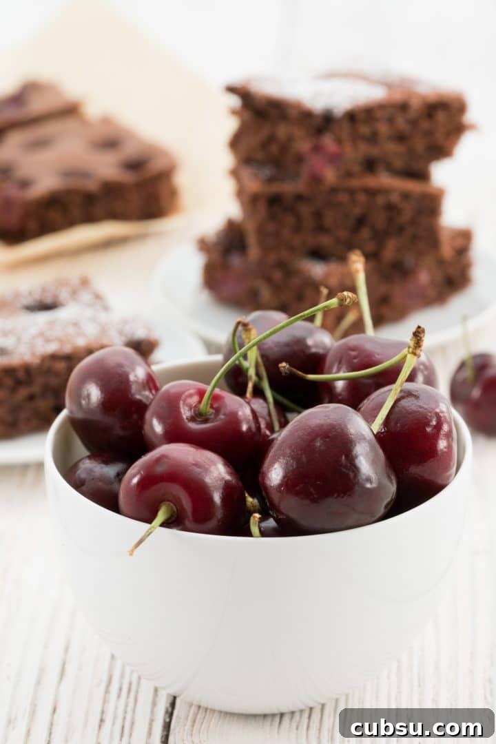 Moist Chocolate Cherry Sheet Cake Recipe 5 last-minute-chocolate-cake-with-cherries