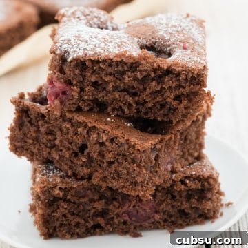 Moist Chocolate Cherry Sheet Cake Recipe 6 img 3737 5