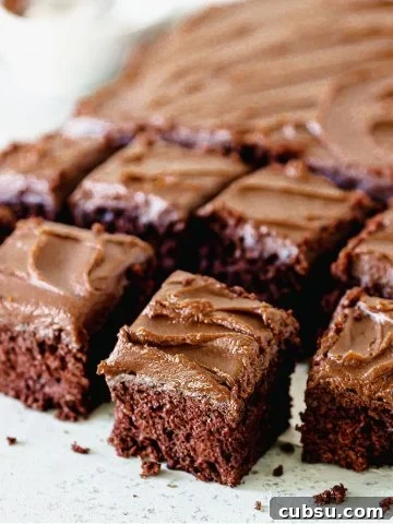 Several frosted chocolate cake squares on a gray white background.