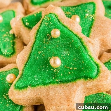 Spiced Christmas Shortbread Cookies