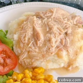 Creamy Slow Cooker Chicken with Savory Gravy 10 Slow Cooker Chicken and Gravy on a dinner plate.